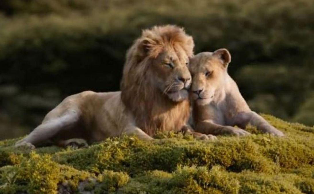 Movie Review : 90 के दशक में ले जाएगी बचपन वाली The Lion King की कहानी