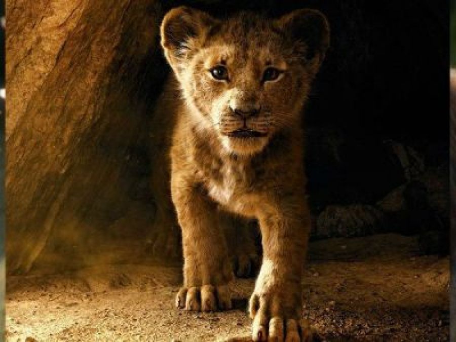 तमिल रॉकर्स ने HD प्रिंट में लीक की फिल्म The Lion King