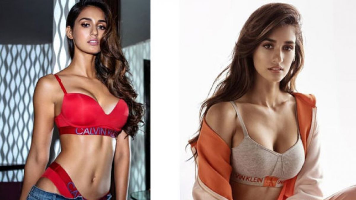 Disha Shows her Hot Look, fans go crazy for her shorts avatar!