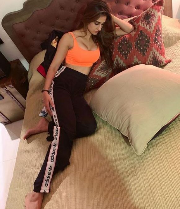 Disha Patani shared a picture on which fans said: 'No morning please'