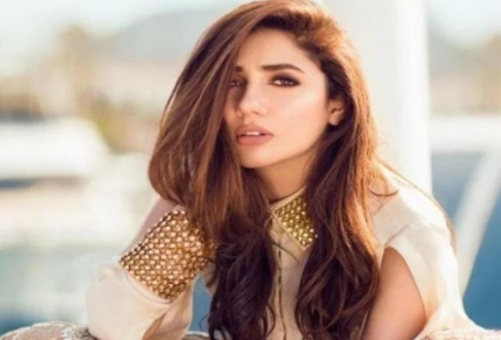 The actor said something controversial about Pakistani actress, fans did this!