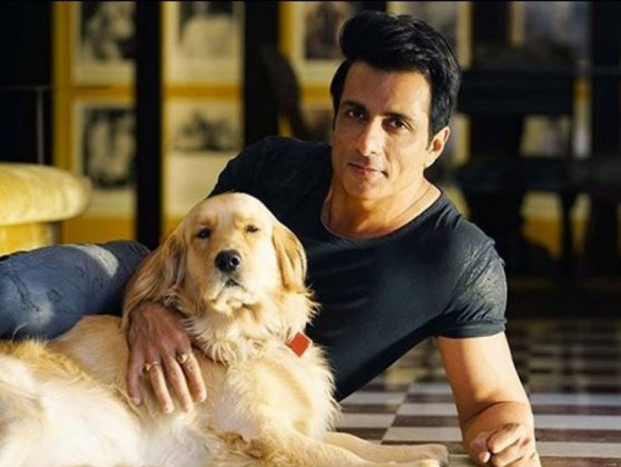 Birthday Special: Sonu Sood has won the award for this negative character