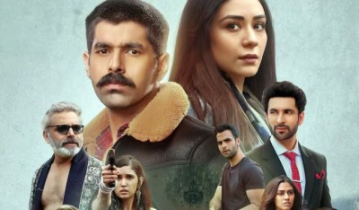 If you have not liked Mirzapur Season 3 then definitely watch this web series