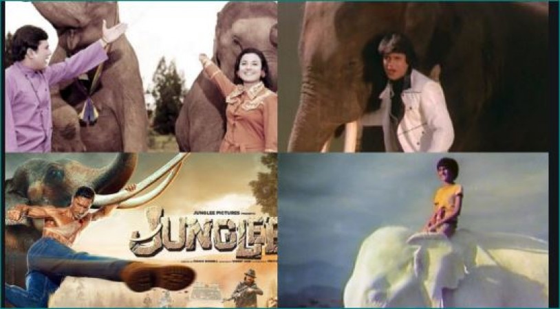 When these Bollywood films shows unbreakable love between elephant and human