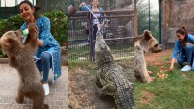 VIDEO: This Actress was seen playing with Lions, Bears and Crocodiles!