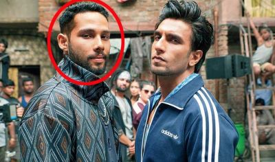 Gully Boy fame Siddhant Chaturvedi to star in these two films!