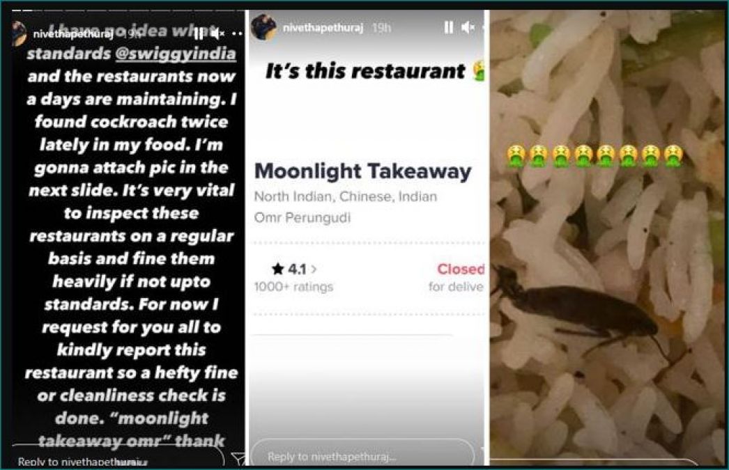 Actress ordered food from Swiggy, got cockroach