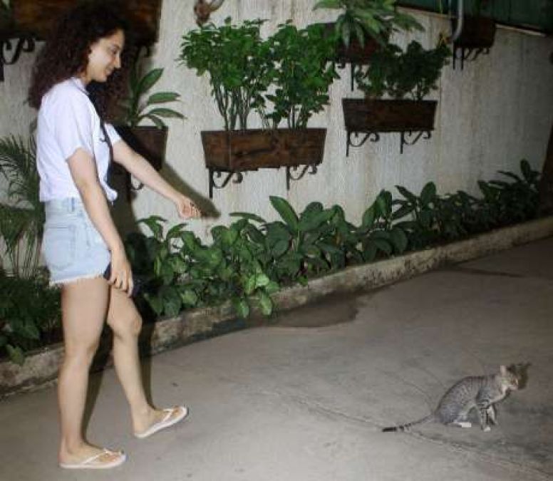 Bollywood Queen plays with a cat in Mumbai Street