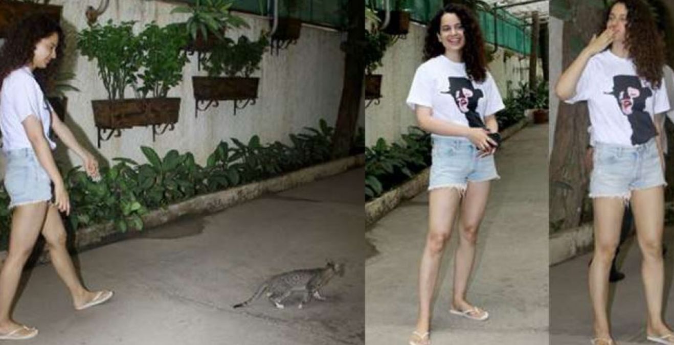 Bollywood Queen plays with a cat in Mumbai Street