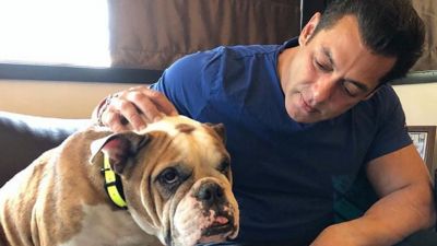Salman's Unconditional love for dogs is evident from this recent picture