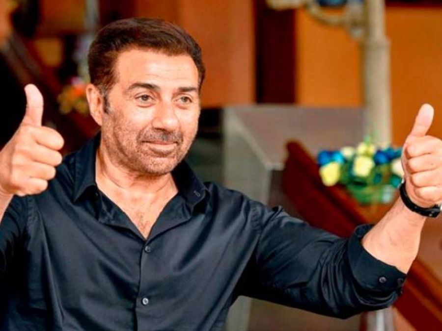 Sunny Deol will be seen in 'Thriller'