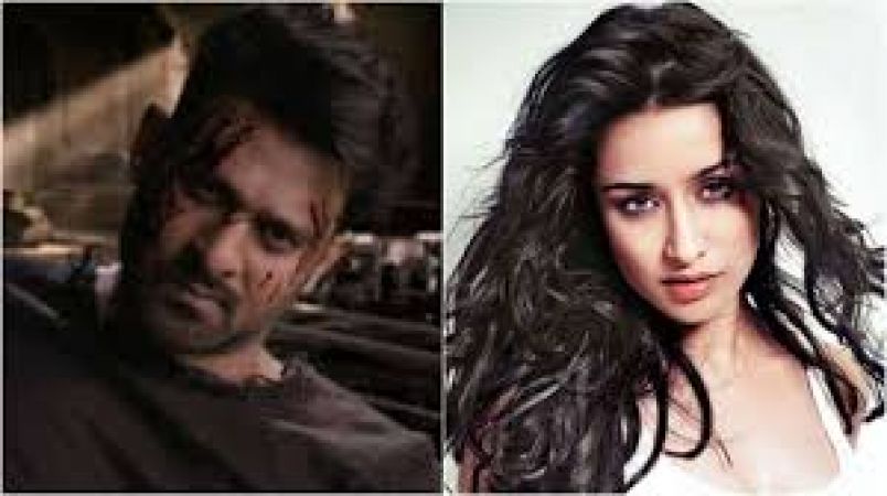 Saaho के लिए ऐसे सीखी प्रभास ने हिंदी