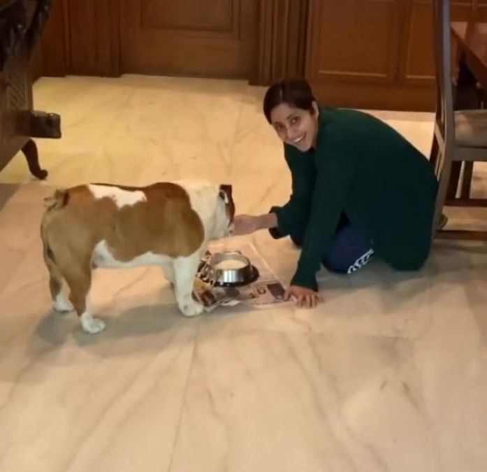 अपने कुत्ते को मसाज भी देती है राम कपूर की पत्नी गौतमी