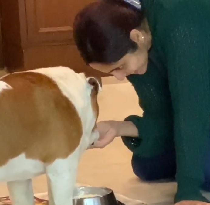 Ram Kapoor's wife Gautami gives massage to her dog