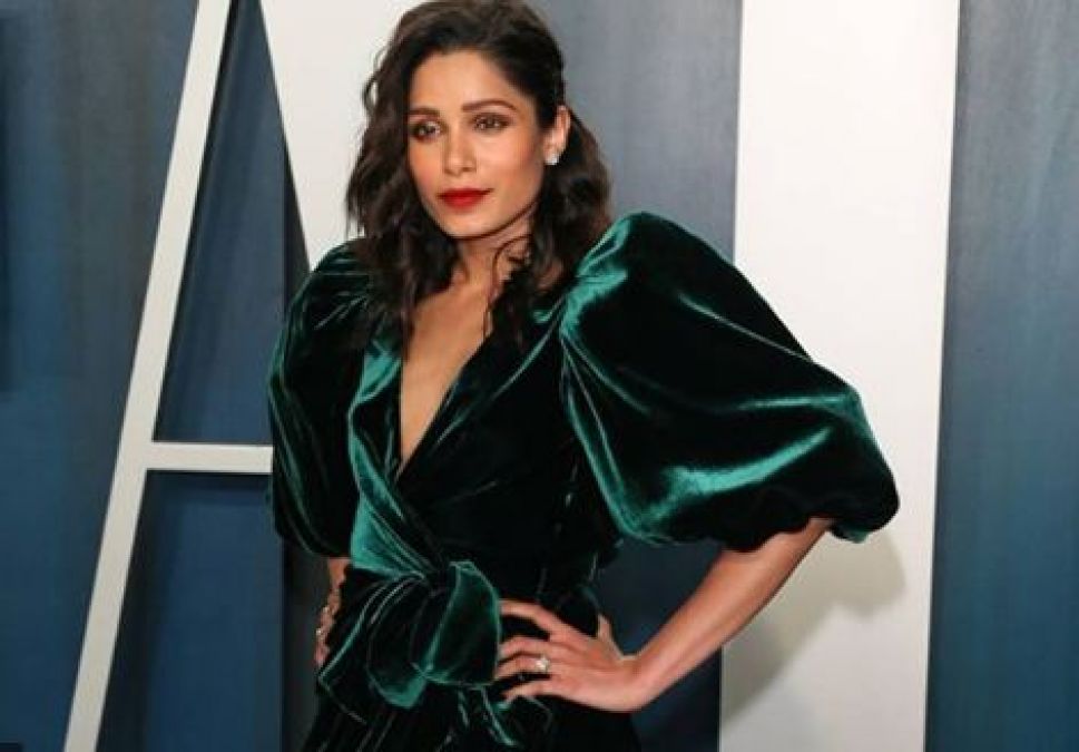 Actress Freida Pinto considers world of animation different from film and TV
