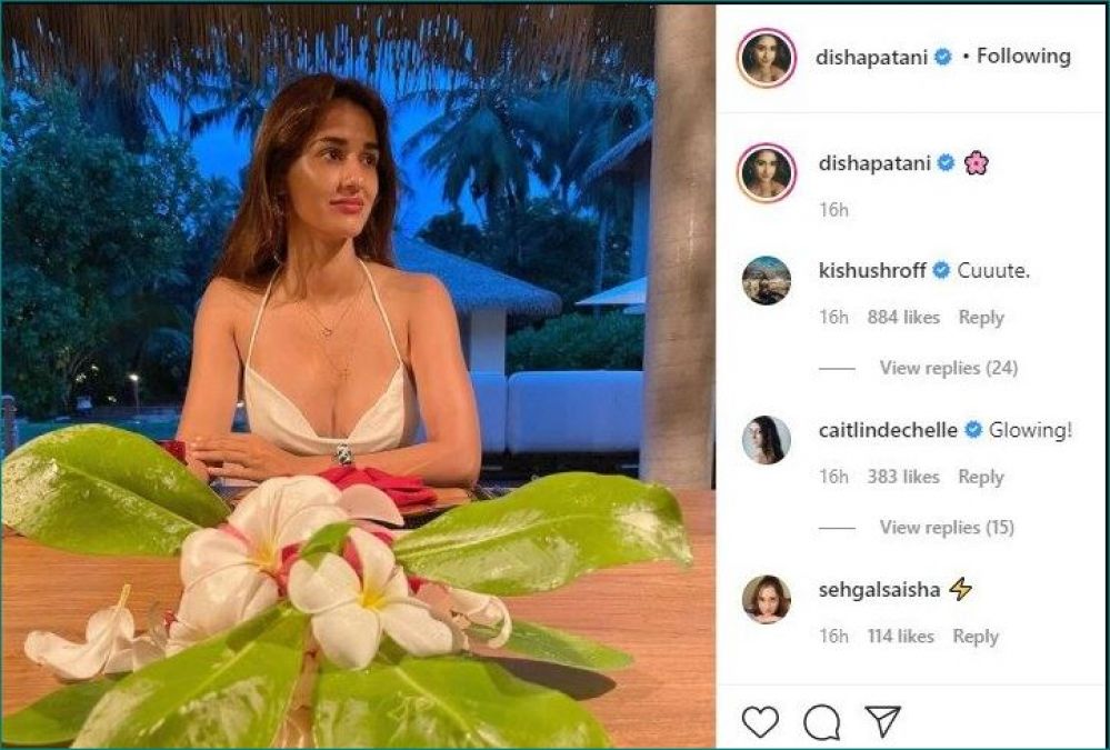 Tiger's sister Krishna Shroff comments on Disha Patani's beautiful picture