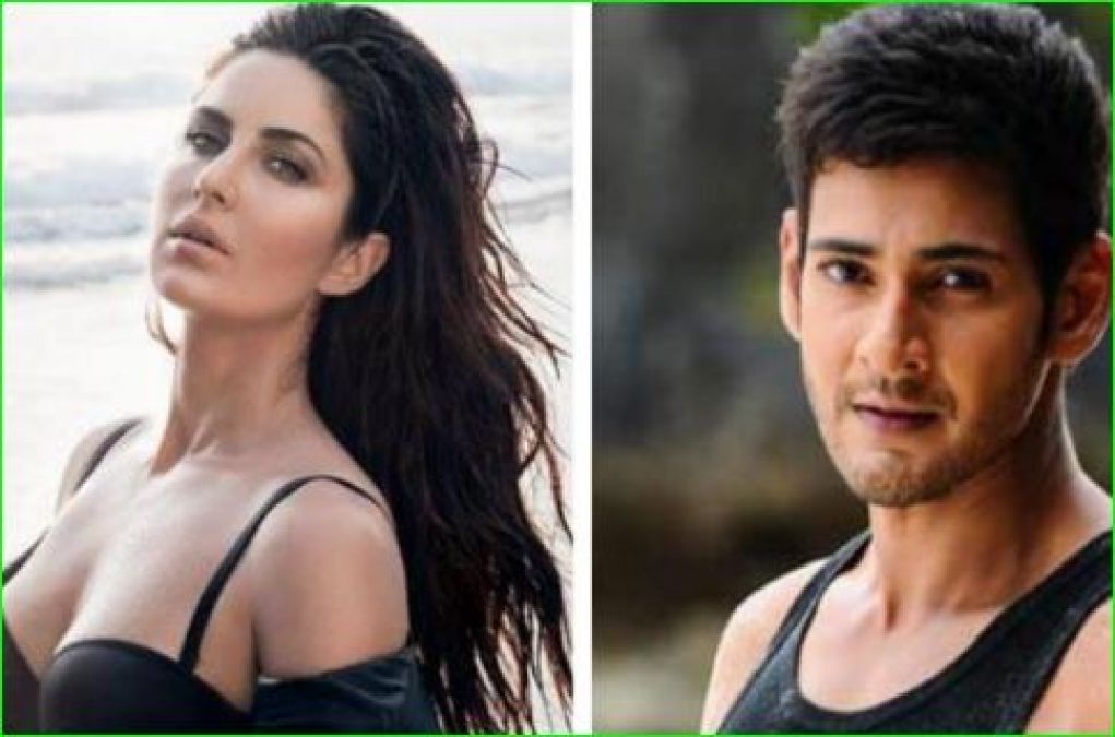 Katrina Kaif is super fan of this South actor, said- 'If I get a chance, I will not leave ...'