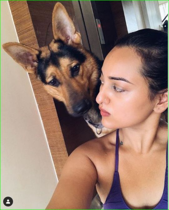 Sonakshi's selfies with pet Bronze will make you go aww, check out cute pic here