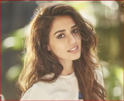 Disha Patani gets angry on people who tortured animals, says 'They have no voice ...'