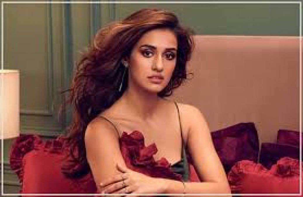 Bollywood actress Disha Patani's hot looks made fans crazy, see her viral photos here