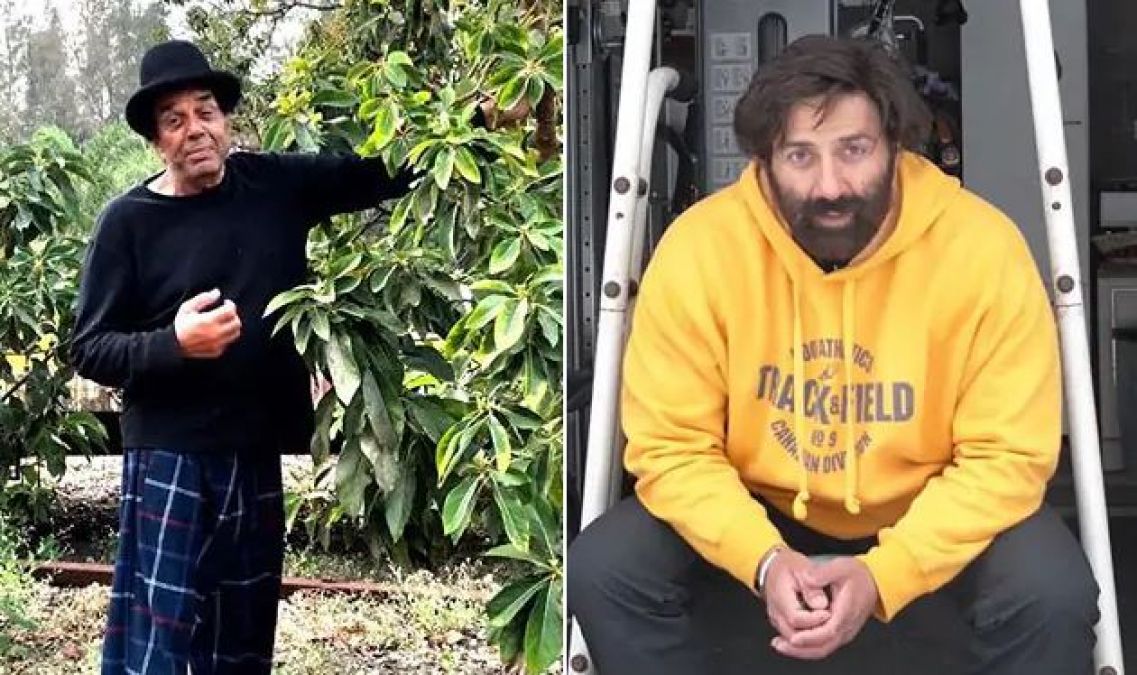 Dharmendra was clicking photo of Sunny Deol without towel, Here's how he reacted