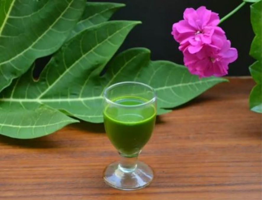 Neem juice is beneficial in dengue and jaundice, Know its benefits