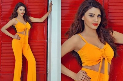 Sherlyn Chopra claims wives of cricketers takes drugs in party