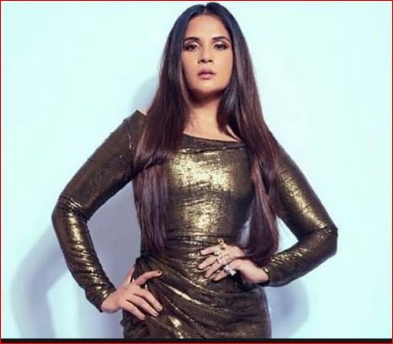 Richa Chadha to play sex worker in Anubhav Sinha's Abhi Toh Party Shuru Hui Hai