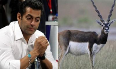 Black deer case: Salman Khan did not appear in court, may face difficulties