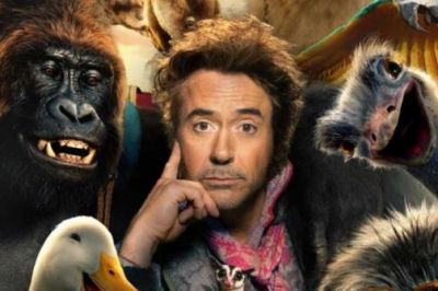 Robert Downey will soon bring the animal world to theaters