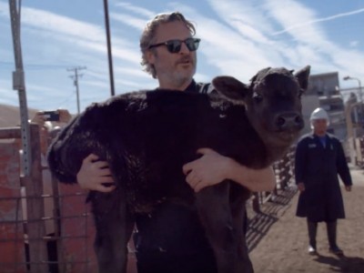 Oscar-winner Joaquin Phoenix saved cow and a three-day-old calf