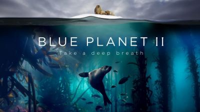 ब्लू प्लेनेट-2 : समुद्र में जीवों के संघर्ष को दर्शाएगी ये फिल्म, भारत में हुई रिलीज़