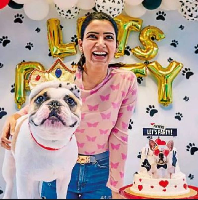 Samantha celebrated her dog's birthday with great pomp