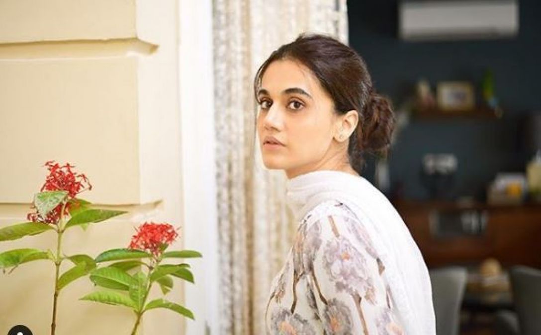 Box Office Collection: Taapsee Pannu's 'Thappad' earnings slow down