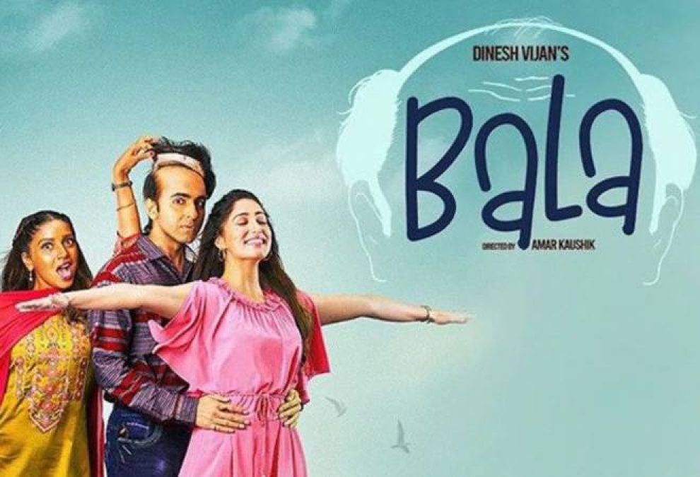 Bala Box Office Collections: The story of baldness touched the heart, earned this much