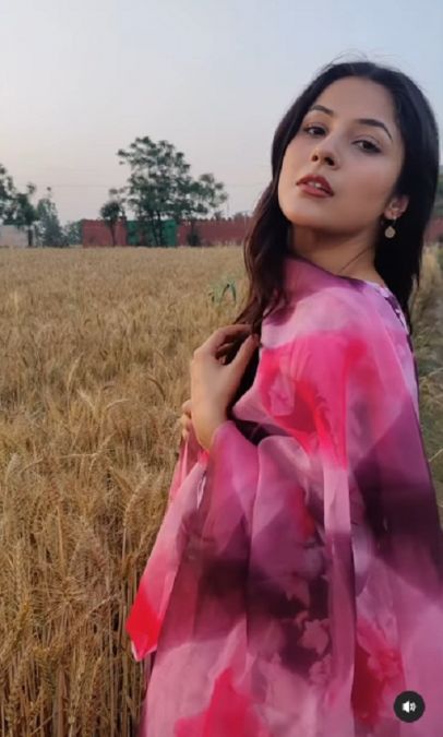 Punjabi girl look of Shehnaaz in a pink coloured suit, fans went crazy