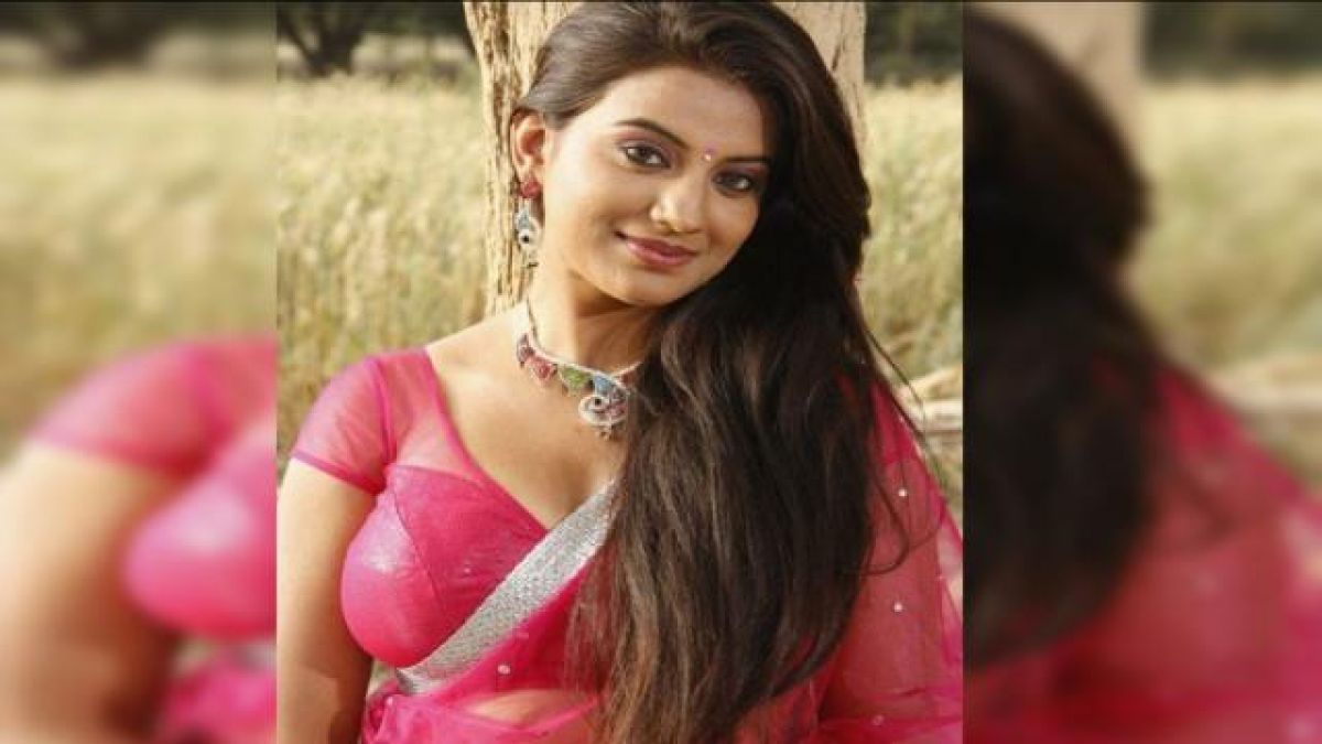 Amrapali Dubey celebrates Akshara Singh's birthday in a special way, here's the congratulatory message!