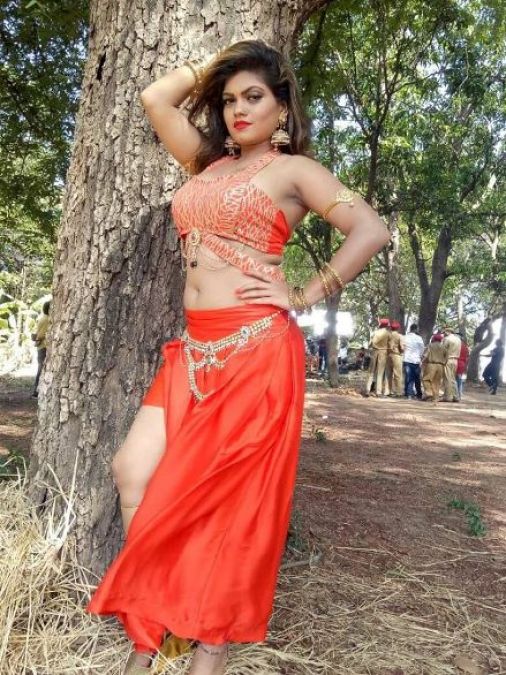 Bhojpuri actress Nisha Dubey will be seen opposite Pramod Premi in these two films