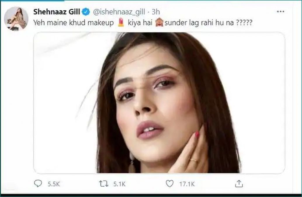 Shehnaaz Gill asks fans sharing post: 'sunder lag rahi hu na ?'