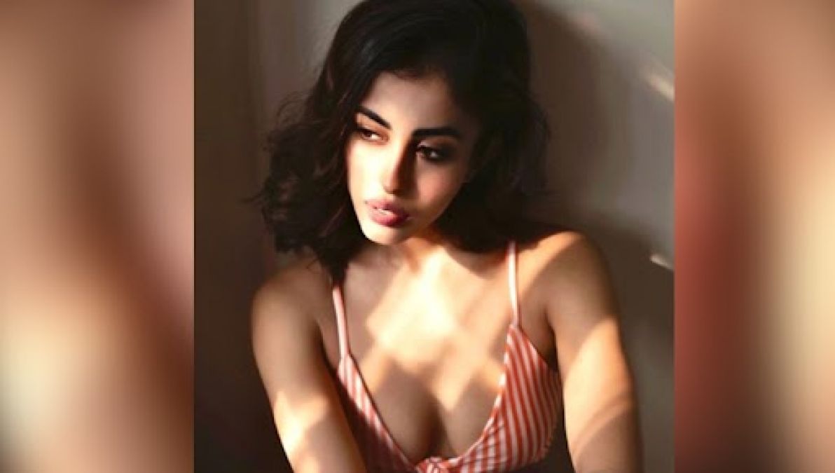 Priya Banerjee also beats Sunny Leone in terms of beauty