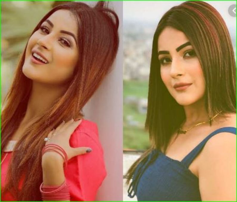 Shehnaaz Gill used to do this before coming to Bigg Boss 13