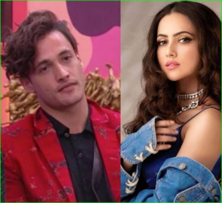 This ex-contestant slams Himanshi Khurana, says 'She is fooling Asim...'