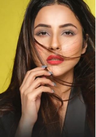 Shehnaaz Gill gets another big success, fans swayed after seeing Dabboo Ratnani's post