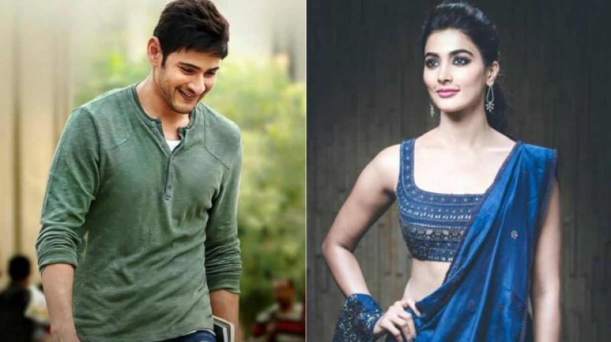 Pooja Hegde can be seen in Mahesh Babu's film