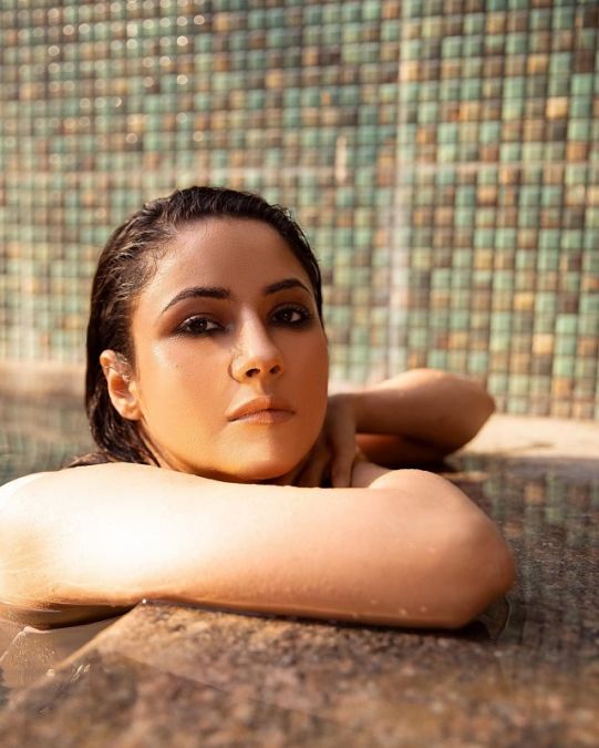 Shehnaaz plunges into the pool and sets the hearts of fans on fire