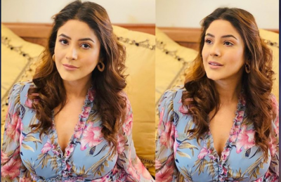 Shehnaaz Gill in latest photoshoot seen lying on bed, this cute smile is robbing fans heart