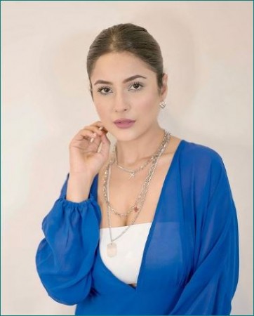 Shahnaaz Gill shares glamorous pics in blue dress, see post