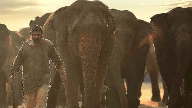रिलीज हुआ 'हाथी मेरे साथी' का ट्रेलर, राणा दग्गुबाती की जबरदस्त एंट्री देख फैंस हुए दीवाने