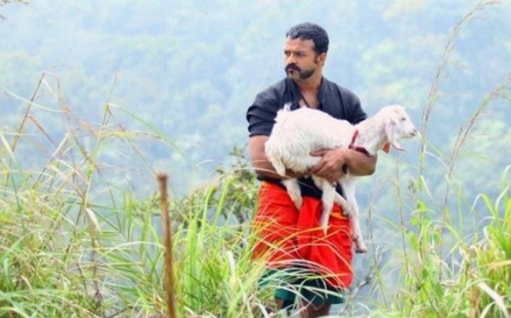 Work on the third part of 'Aadu' franchise begins