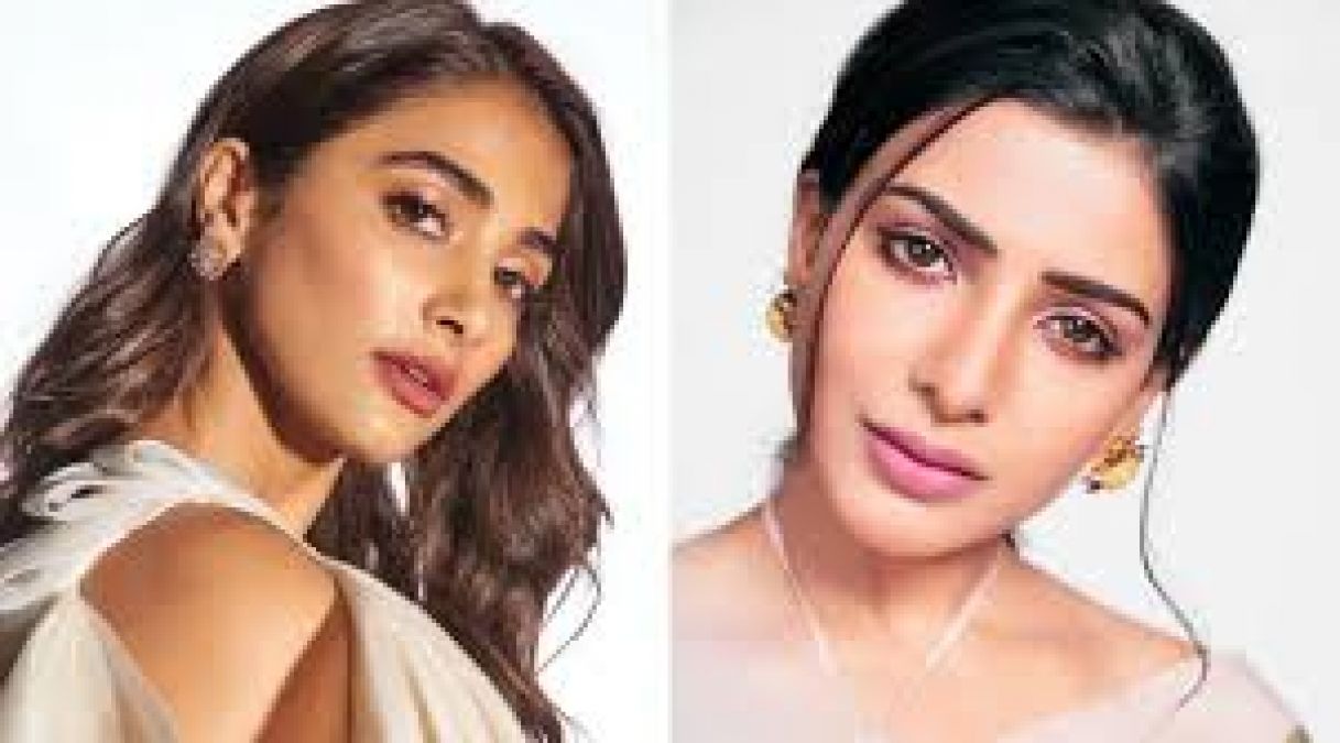 Fans aks Pooja Hegde to apologize for trolling this actress